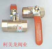 101��DN15�к�